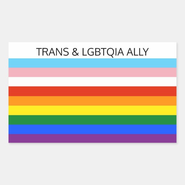 TRANS & LGBTQIA ALLY STICKER (Front)
