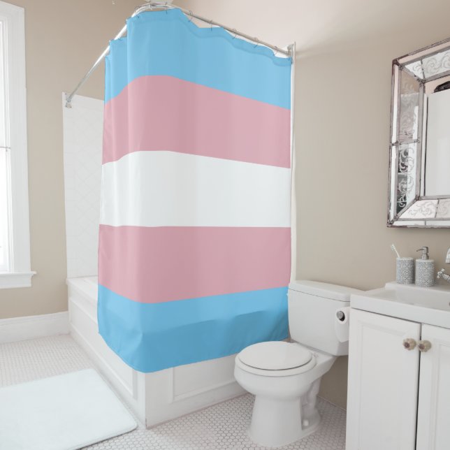 Trans Pride Flag (In Situ)