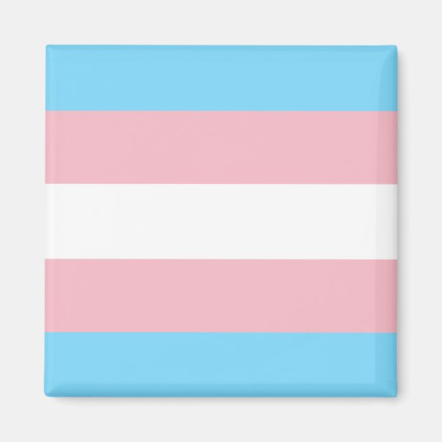 Trans Pride Flag Magnet (Front)