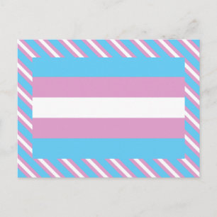 Trans Pride Flag Postcard