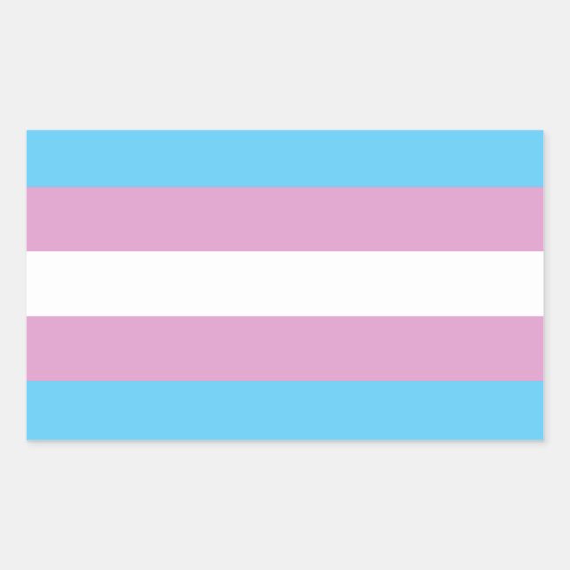 Trans Pride Flag Sticker (Front)
