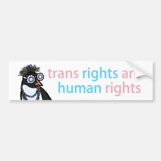 Trans rights bumper sticker with a cool penguin