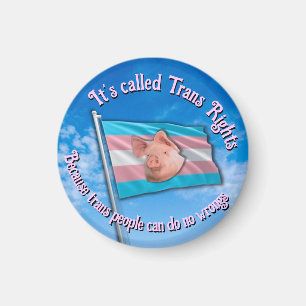 Trans Rights Magnet