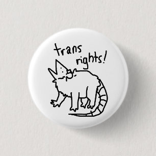 trans rights possum 1 inch round button