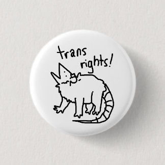 trans rights possum 1 inch round button