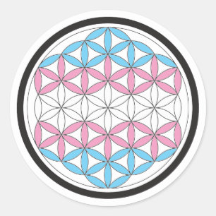 trans sacred geometry classic round sticker