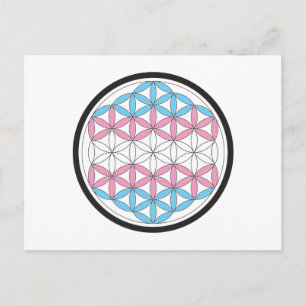 trans sacred geometry postcard