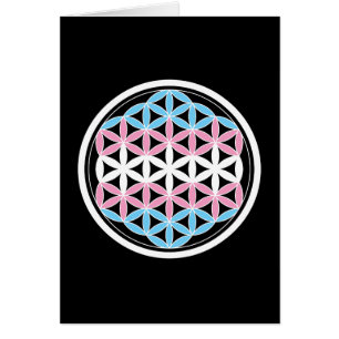 tranSacred geometry