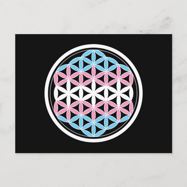 tranSacred geometry Postcard (Front)