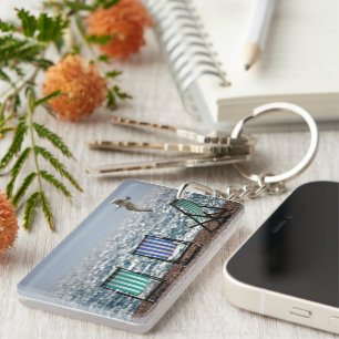 Transats en bord de mer et Seagull