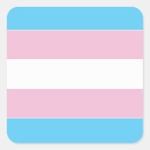 Transexual Pride Flag