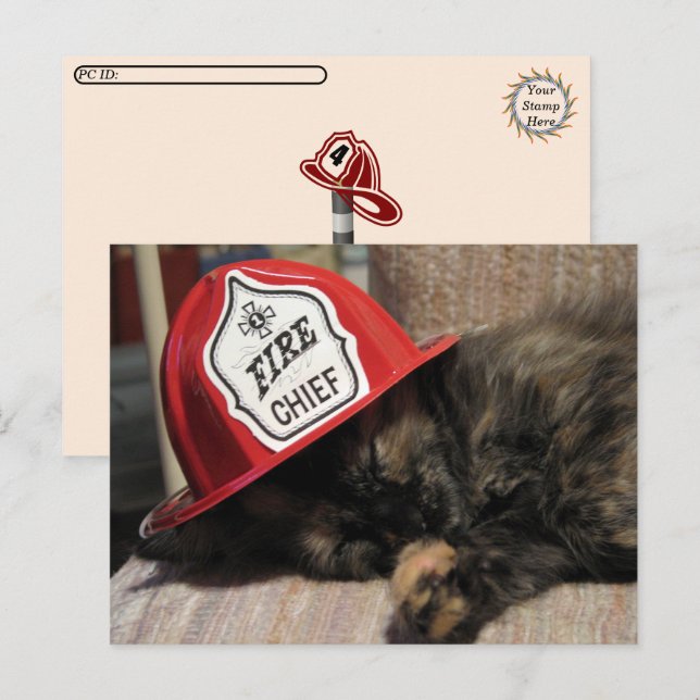 Transfert postal - Carte postale de chat mignon -  (Devant / Derrière)