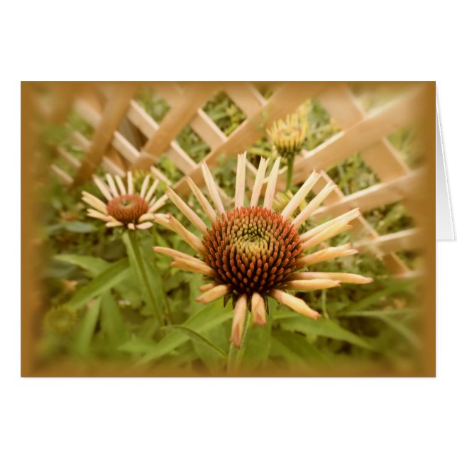 Transformateurs en treillis (Devant horizontal)