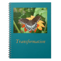Transformation Journal