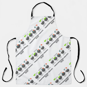 Transformational Process Inside Enzyme Substrate Apron