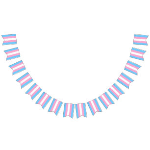 Transgender Flag Bunting Banner LGBT Party