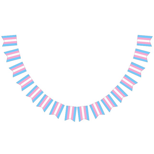 Transgender Flag Bunting Banner LGBT Party (All)