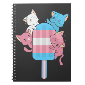 Transgender Flag Cats and a Popsicle Notebook