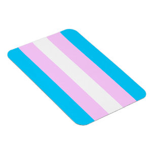 Transgender flag magnet