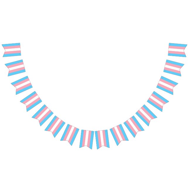 Transgender Flag Party Signs Banners Garland (All)