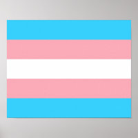 Transgender Flag Print, Value Poster Paper (Matte)