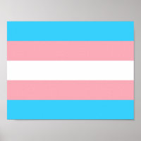 Transgender Flag Print, Value Poster Paper (Matte)