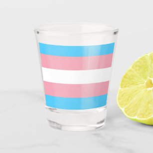 Transgender Flag Shot Glass