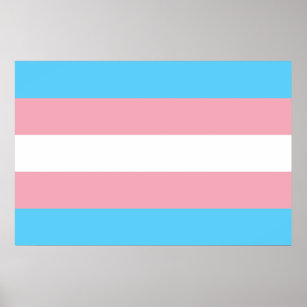 Transgender flag trans pride LGBT symbol gay homos Poster