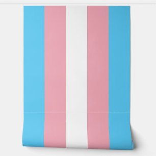 Transgender flag Wallpaper 