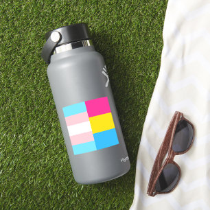 Transgender Pansexual Dual Pride Flag Laptop