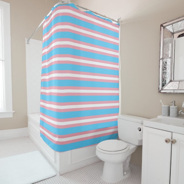 Transgender Pride Flag (In Situ)