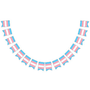 Transgender pride flag banner