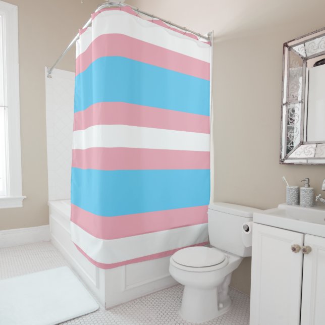 Transgender Pride Flag - LGBT Rainbow (In Situ)