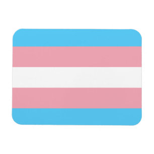 Transgender Pride Flag - LGBT Rainbow Magnet