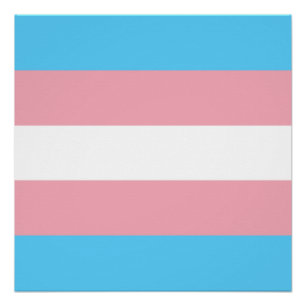 Transgender Pride Flag - LGBT Rainbow Poster