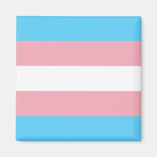 Transgender Pride Flag Magnet