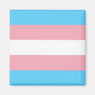 Transgender Pride Flag Magnet