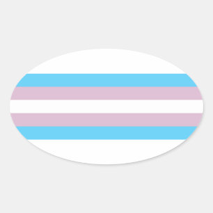 Transgender Pride Flag Oval Sticker