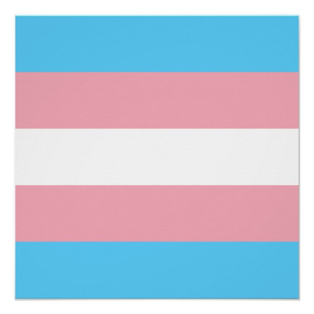 Transgender Pride Flag Poster (Front)