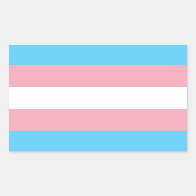 Transgender Pride Flag Sticker (Front)