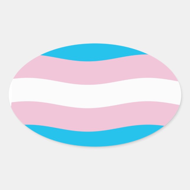 Transgender Pride Flag Sticker (Front)