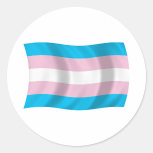 Transgender Pride Flag Sticker