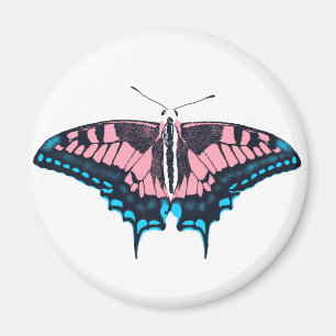 Transgender Pride Flag Swallowtail Butterfly Magnet
