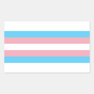 Transgender Pride Rectangle Sticker