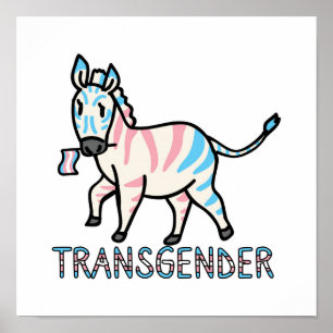 Transgender Zebra Poster