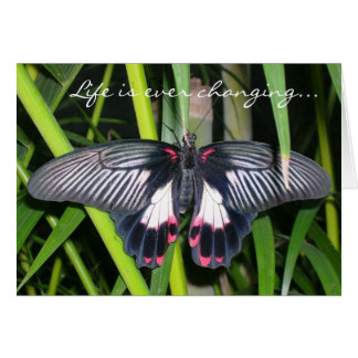 Transition, Life Change