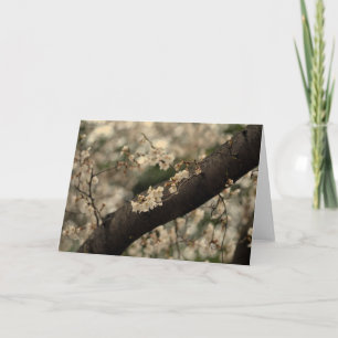 Transition to Nirvana Cherry Blossom Photography Card