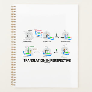 Translation In Perspective tRNA Biology Protein Planner