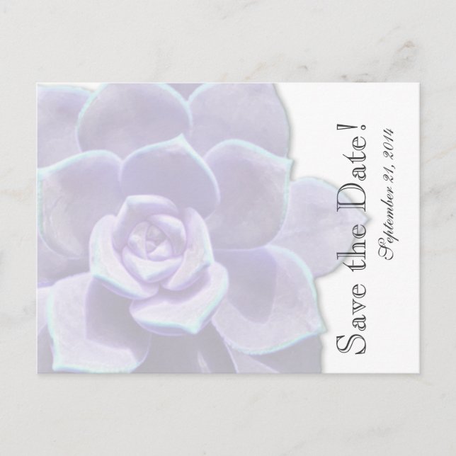 Translucent Lilac Succulent  save the date Announcement Postcard (Front)