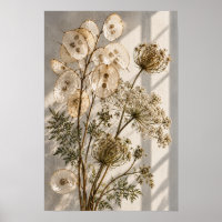 Translucent Seed Pods and Dried Wildflowers Botani